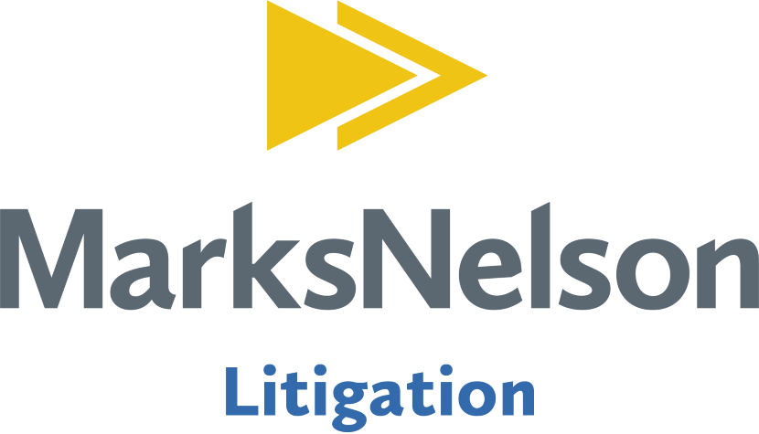 Litigation Services